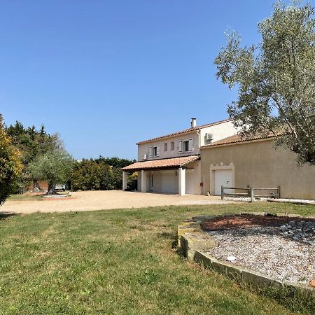 Studio 40M2 Avec Terrasse Le Mas De Lauriane Saintes-Maries-de-la-Mer Eksteriør bilde