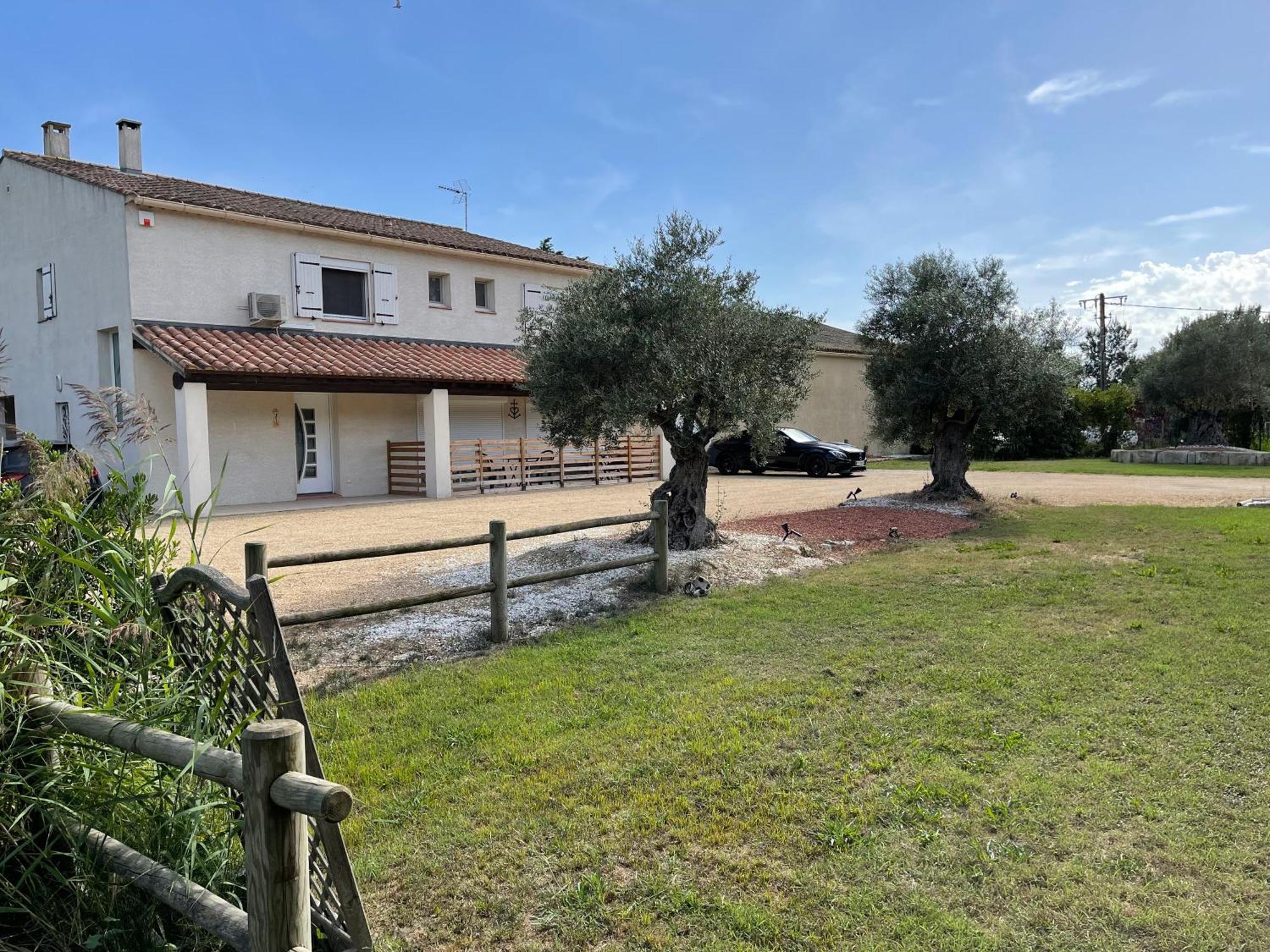 Studio 40M2 Avec Terrasse Le Mas De Lauriane Saintes-Maries-de-la-Mer Eksteriør bilde