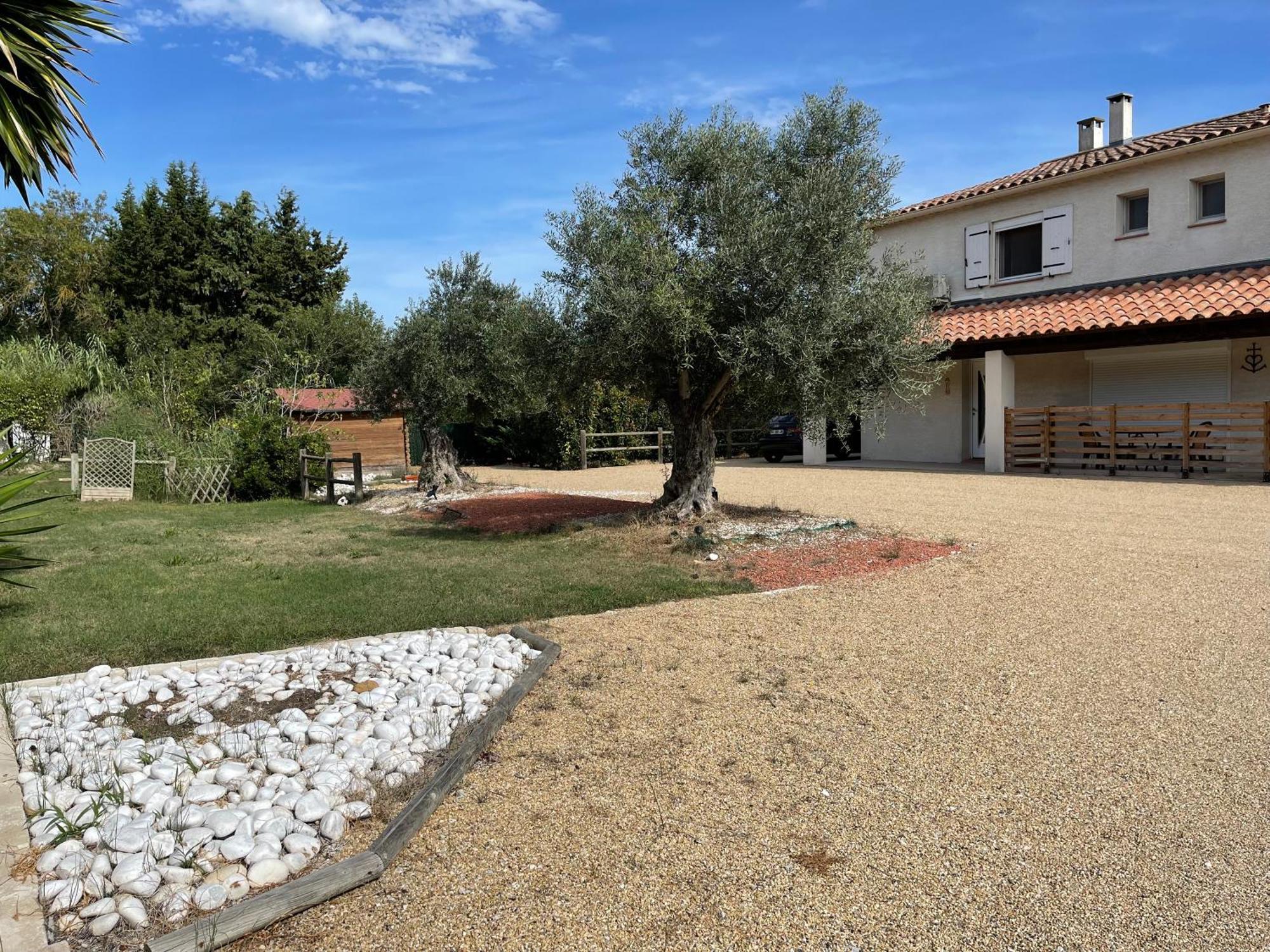 Studio 40M2 Avec Terrasse Le Mas De Lauriane Saintes-Maries-de-la-Mer Eksteriør bilde